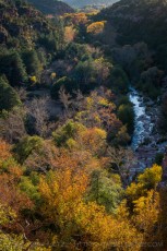 Quiet Canyon