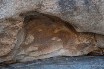 Slab Rock Pictograph Panel