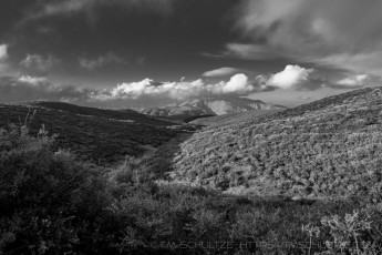 Transitions