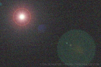 Contagion by T.M. Schultze