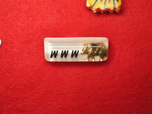 Machek N'Gult Lodge # 375 Totem Pin