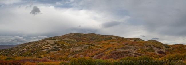 UT173